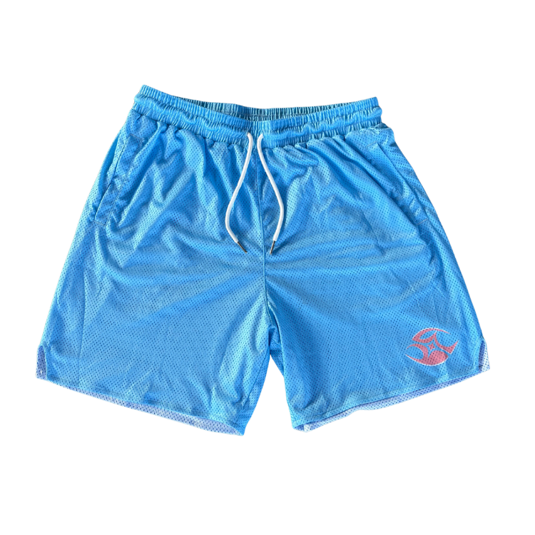 Baby Blue Basic Shorts