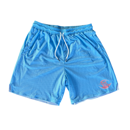 Baby Blue Basic Shorts