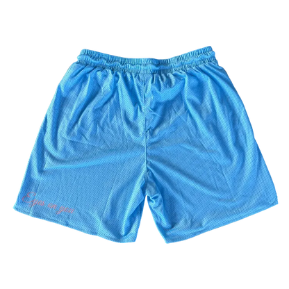 Baby Blue Basic Shorts